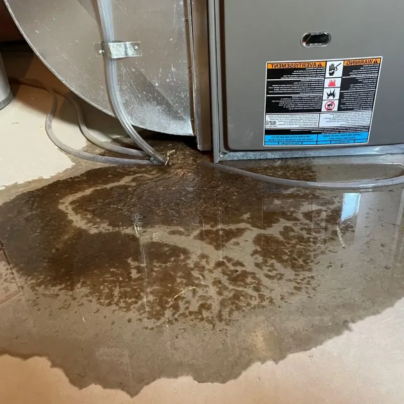 Pipe Burst and Leak Restoration in Fremont County, ID