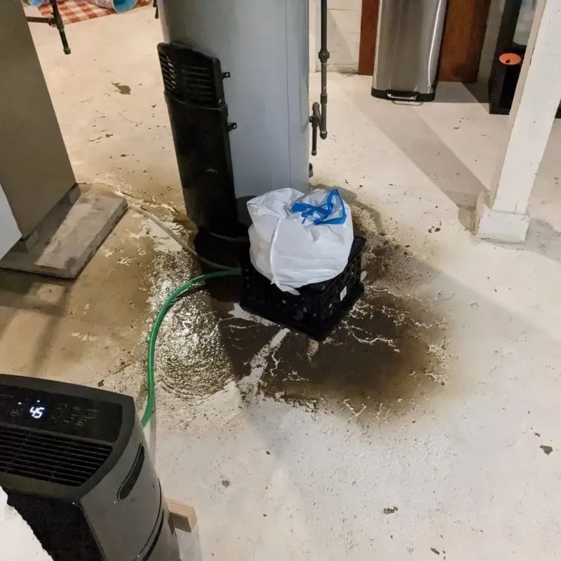 Sewage Backup Cleanup Service in Fremont County, ID